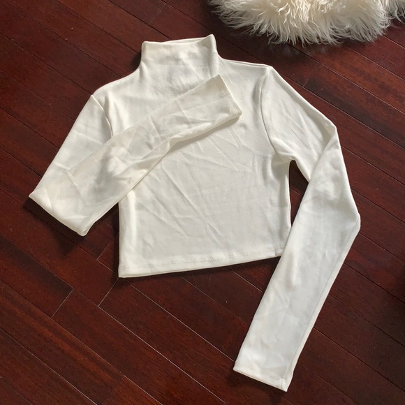 Princess Polly Tops - Princess Polly Crop Turtle Neck - Brand New!!